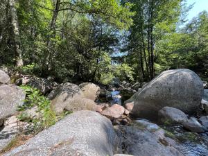 Villas Villa en pleine nature avec piscine : photos des chambres