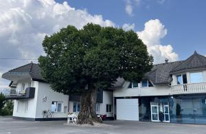 Apartments Linden Tree