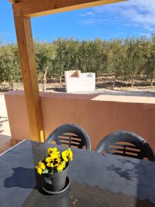 Cortijo Ojos del Prado