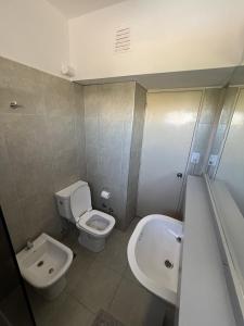 Aires del libertador