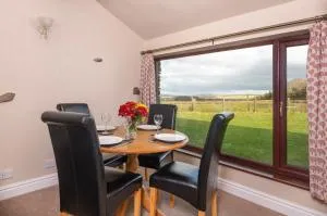 Howe Top - تراوتبك