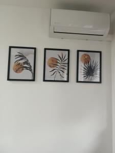 Cosy Space Apartment