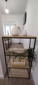 La Estrella Del Carmelo