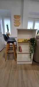 La Estrella Del Carmelo