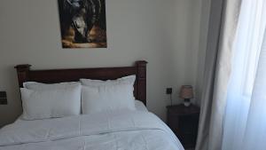 Lovely Entire Apartment Kilimani Estate Nairobi