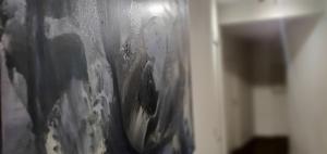 Appartements Lumineux & Convivial : photos des chambres