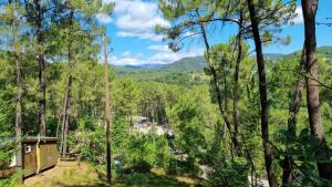 Campings Village de Chalets : photos des chambres