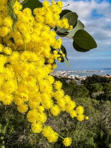 Magnifique studio le France