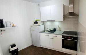 Appartements Lumineux & Convivial : photos des chambres