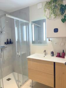 Les Gentianes bleues, T2 cocon en hyper centre