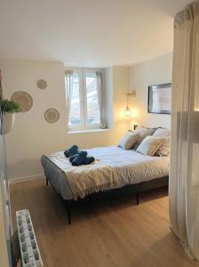 Les Gentianes bleues, T2 cocon en hyper centre