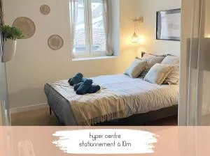 Les Gentianes bleues, T2 cocon en hyper centre - Chilly-le-Vignoble