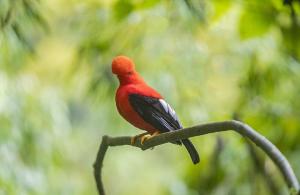 habitación campestre para pareja LAVANDA