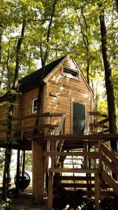 Stodoła na drzewach