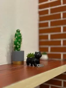 Appartamento don orione - Spineto Scrivia