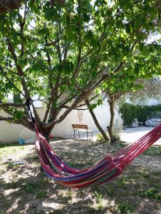 Villas House with pool in Alpilles : photos des chambres