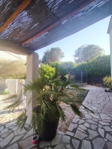 Villas House with pool in Alpilles : photos des chambres