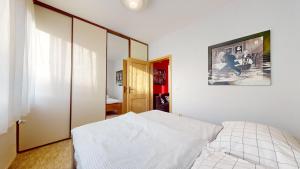 SAG apartment close to the castle free parking