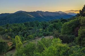 Tentes de luxe Bivouac nature, Tentes Lodges dans les Cevennes : photos des chambres