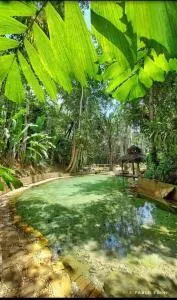 Jardim da Amazônia Lodge - Nova Mutum