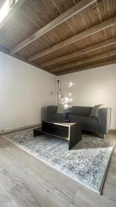 Cotton&Loft - Brno City Center Apartment - 4hvězdičkové hotely ve městě Brno