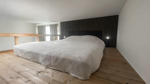 Cotton&Loft - Brno City Center Apartment