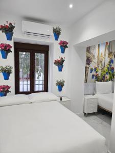 Nueva PENSION CIBELES