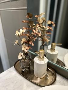 Estudio con impresionantes vistas en Alicante centro