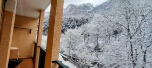 Carlina Canfranc - Canfranc-Estación