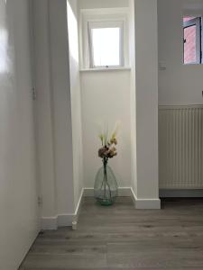 Cozy 2 bedroom apartment