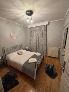 Family Nest Apartment SKG