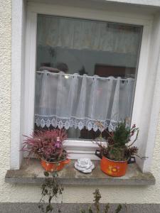 Ferienhaus Johanna & Ferienwohnung Thum