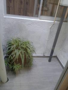 Departamento el REPOSO