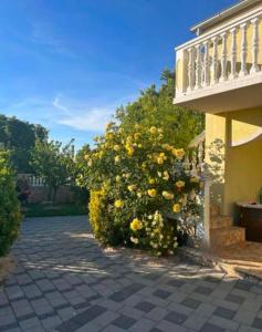 Schönes Ferienhaus mit Pool