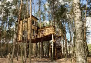 Willa na Drzewie - Sobieszyn