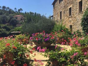 Italianway - The Grapefruit House - Villa con piscina