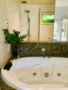 Daylesford Lake Villa1 Lake Frontage pet friendly