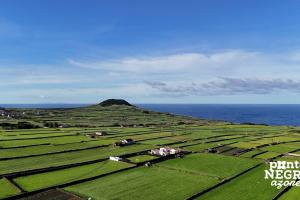 Beer House by PontaNegraAzores