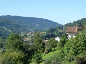 Appartements Appartement spacieux a Le Tholy, 6 pers, Vosges - FR-1-589-784 : Appartement