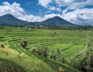 Besikalung Budget Hostel