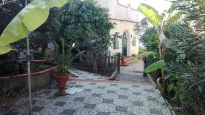 Villa Mare Ercole Luxury