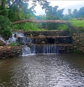 Doi Lom Elephant Farm Stay