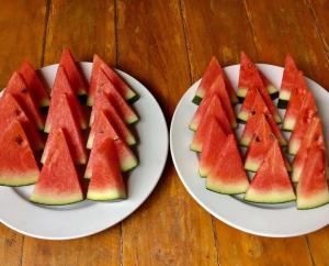 Doi Lom Elephant Farm Stay