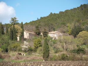 Appartements Gite rural du Mas de Coste : photos des chambres