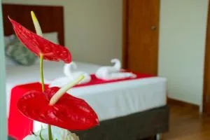 HOTEL LA PALMERA DE ORO - Sauce