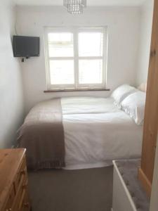 Shlok guest house