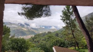 Appartements Studio dans Villa Don Quijote Nice : photos des chambres