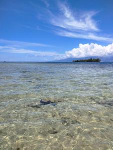 bungalow vue lagon 180 degré, la maison bleue - Ubytování bez kategorie ve městě Moorea