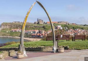 Bernies Watch, Whitby