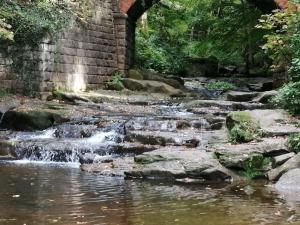Bernies Watch, Whitby